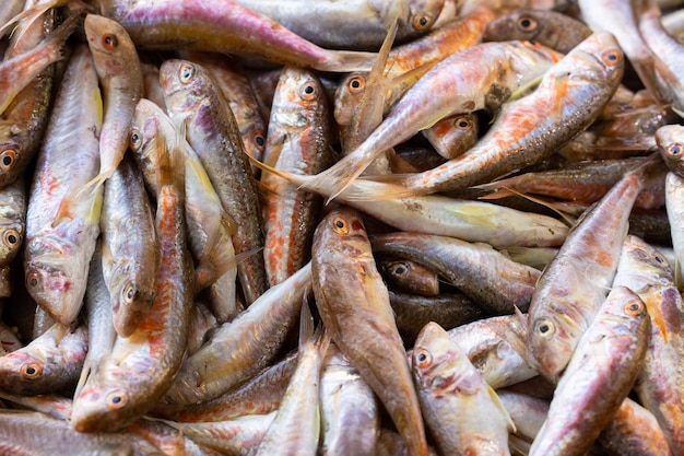 Peixe fresco delicioso no mercado