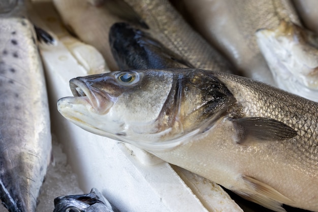 Peixe fresco delicioso no mercado