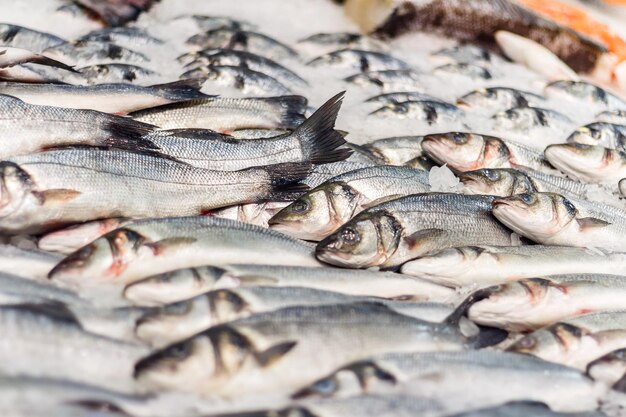 Peixe fresco do mar no gelo em um balcão no mercado