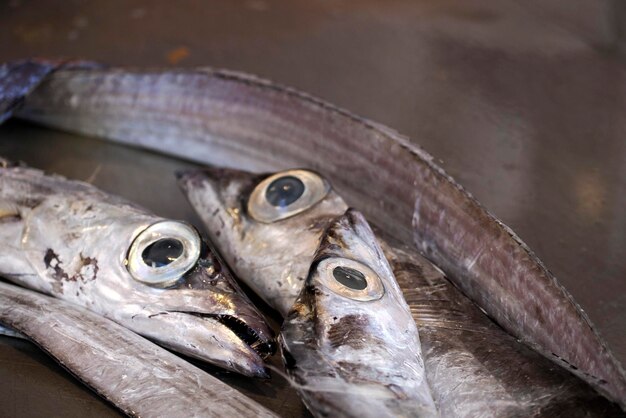 peixe fresco e frutos do mar em Ortigia Syracuse mercado de peixe da Sicília Itália