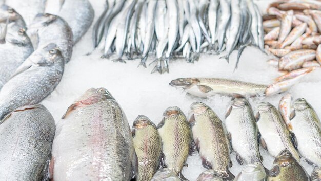 peixe fresco em vitrine gelada no mercado de frutos do mar