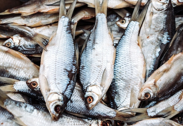 Peixe fresco na loja.