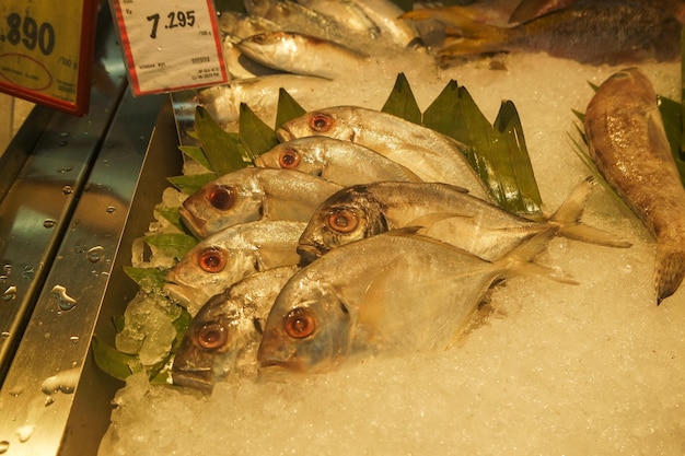 Foto peixe fresco no fundo do mercado