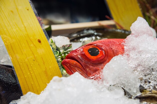 Peixe fresco no gelo no mercado de frutos do mar