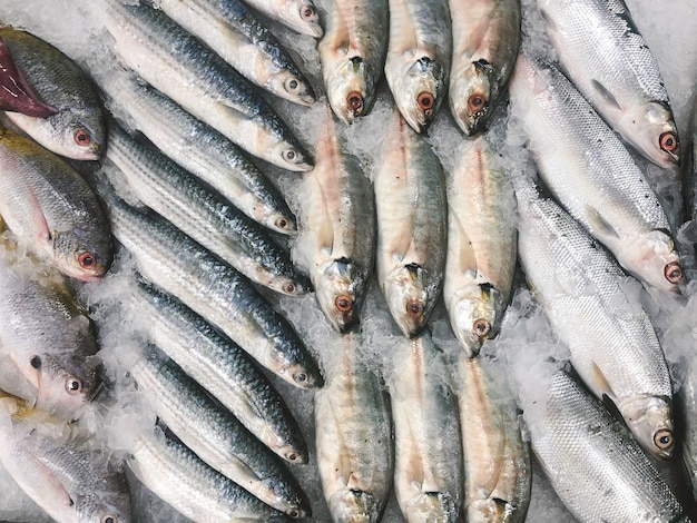 Peixe fresco no gelo no mercado indonésio