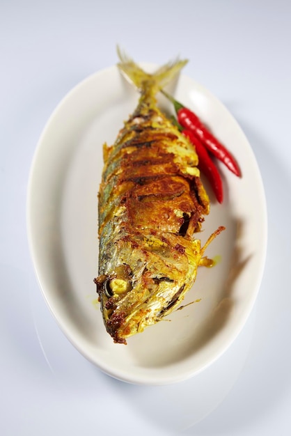 Foto peixe grelhado em prato contra fundo branco