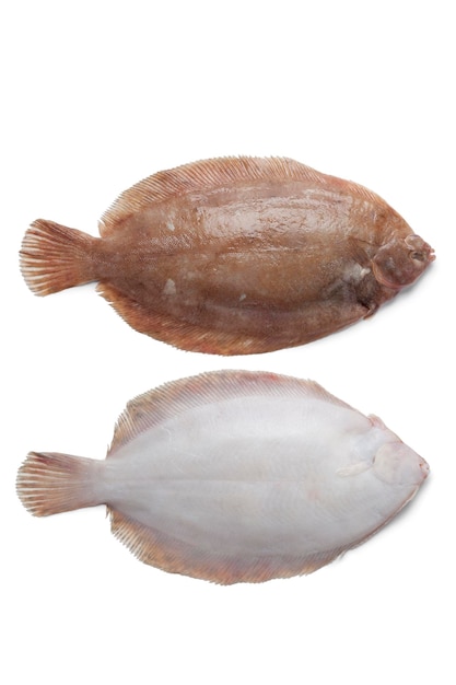 peixe linguado limão