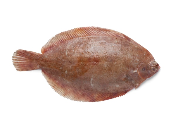 Peixe linguado simples limão