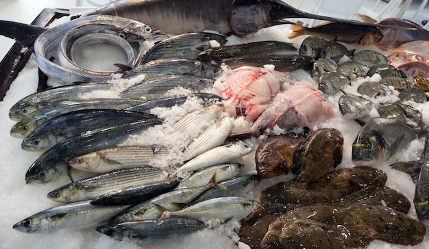 Peixe no balcão mediterrâneo