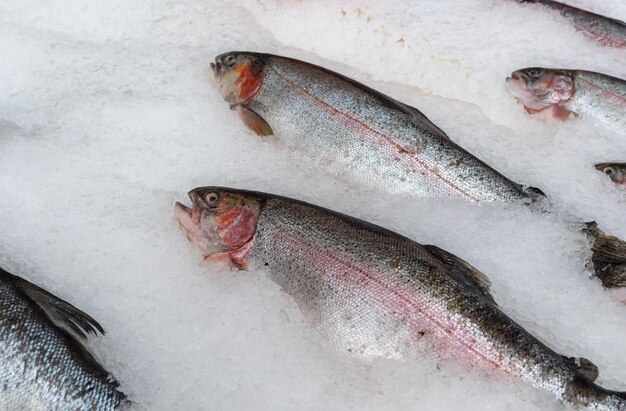 Foto peixe no gelo no supermercado