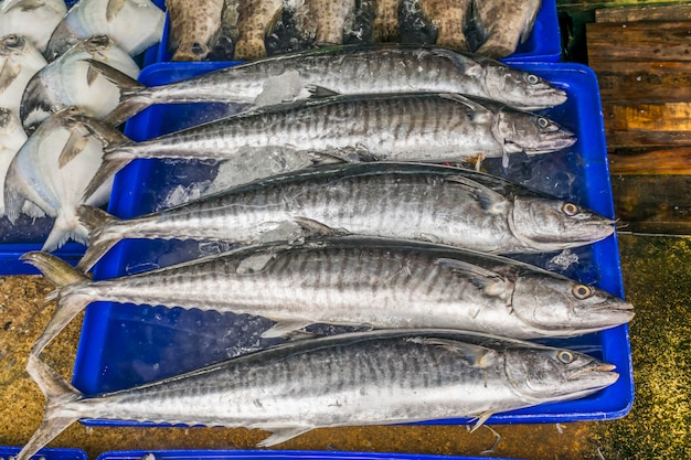 Peixe no mercado