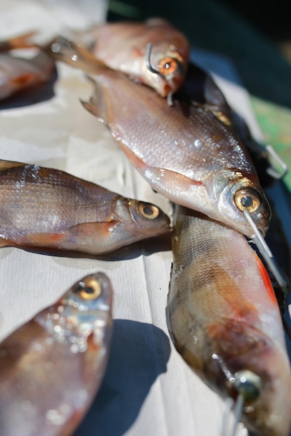 Peixe pequeno na mesa