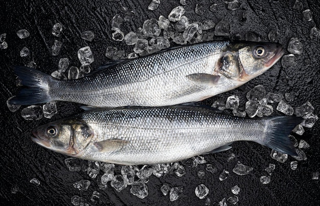 Peixe robalo fresco no gelo no fundo preto