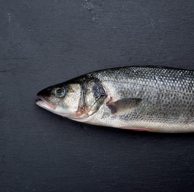 Peixe robalo inteiro fresco em fundo preto