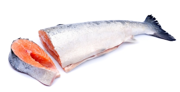 Peixe salmão em um fundo branco