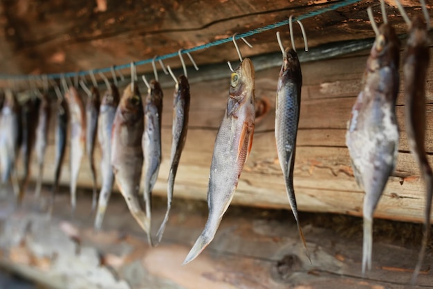 Peixe secando na corda