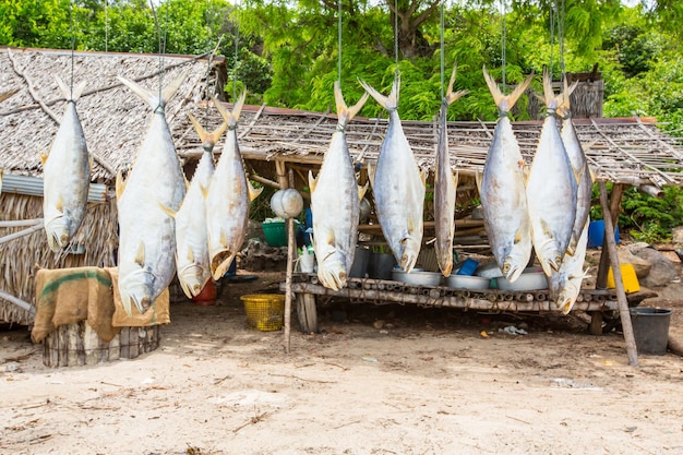 peixe seco