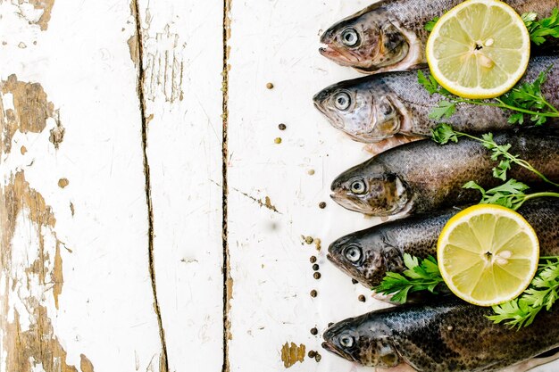 Peixe truta e espaço em branco