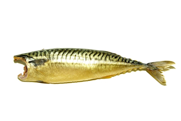 Peixe