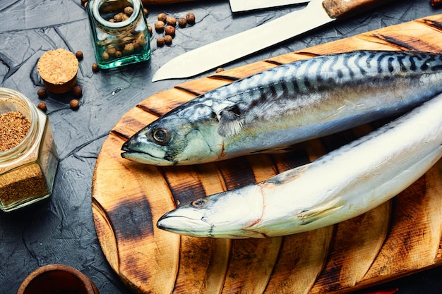 Peixes de cavala crus frescos