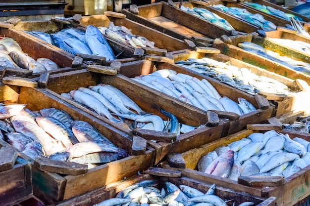 Peixes diferentes no mercado de peixe em uma cidade de Hurghada Egito