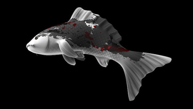 Peixes koi coloridos renderizados em 3D com padrões de cores preto e branco e vermelho e vista lateral