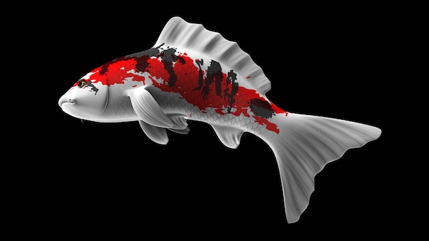 Peixes koi coloridos renderizados em 3D com padrões de cores vermelho preto e branco e vista lateral