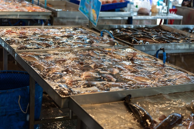 Foto peixes marinhos crus frescos no mercado de frutos do mar e peixe