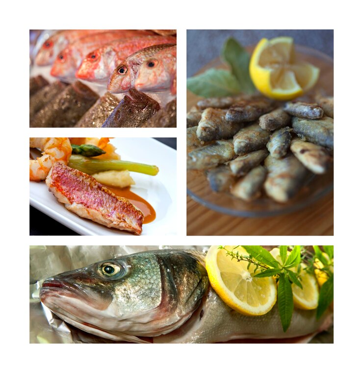 Foto peixes numa colagem
