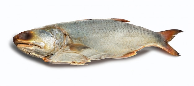 Peixes salgados em branco