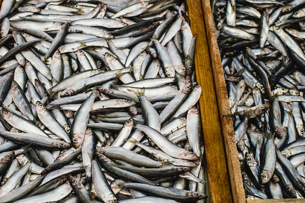 Peixinho à venda.