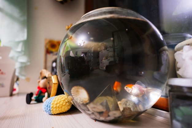 Peixinhos dourados brilhantes em aquário de vidro redondo na mesa no quarto das crianças
