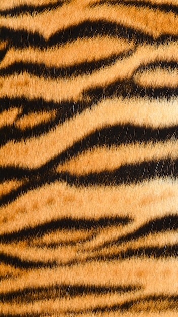 pele de tigre de bengala