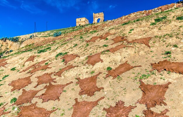 Peles de animais secando em uma colina sob os túmulos Marinid em Fes, Marrocos