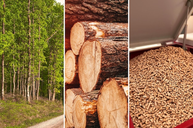 Foto pellets de madera para estufas y calderas desde el bosque hasta la calefacción el viaje de la producción de pellets de madera concepto de futuro sostenible