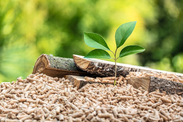 Foto pellets de madera con hojas y troncos de árboles. concepto de combustible eco-sostenible.