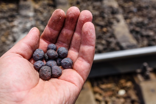 Pellets de taconita de mineral de hierro en la mano de un trabajador