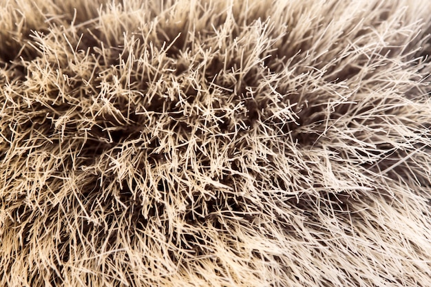 Pelo de animal. Usar para textura o fondo