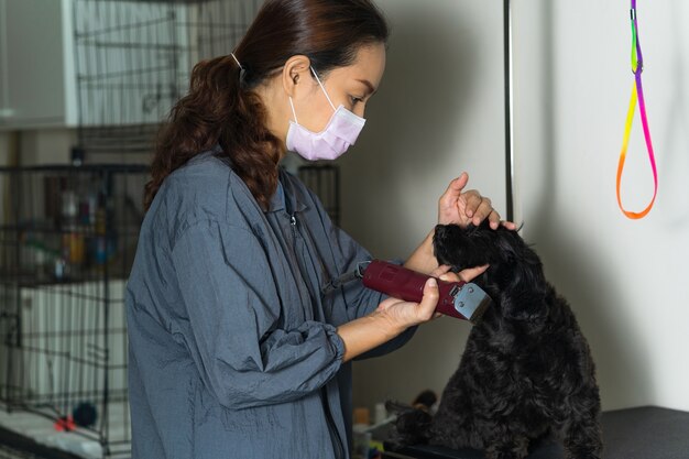 Pelo de corte groomer femenino de perro pequeño en un salón en el salón de belleza para perros