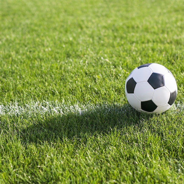 Foto pelota en césped en línea