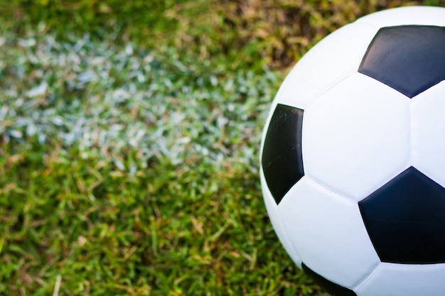 pelota en el césped.