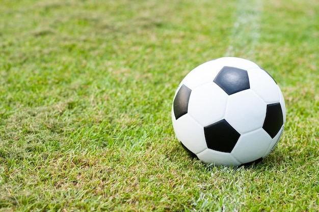 pelota en el césped.