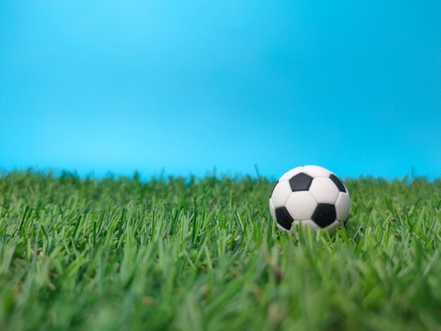 Una pelota está en un campo con un fondo azul.