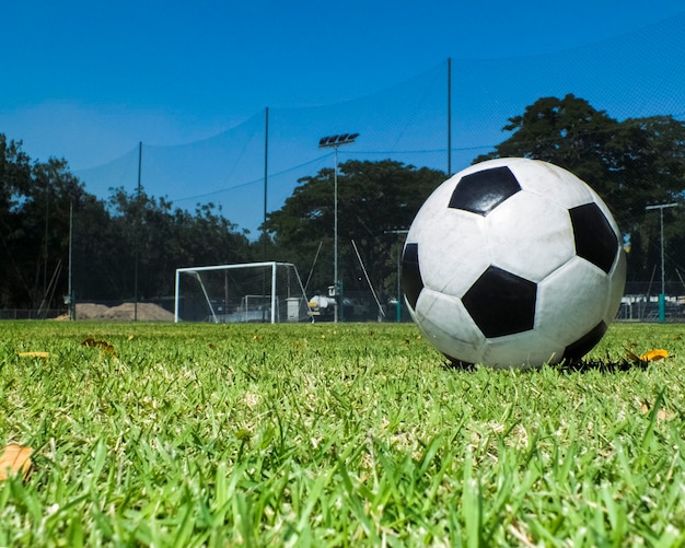 Foto una pelota de fútbol en el césped de un campo de fútbol