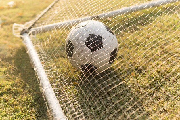 Pelota de fútbol en el césped