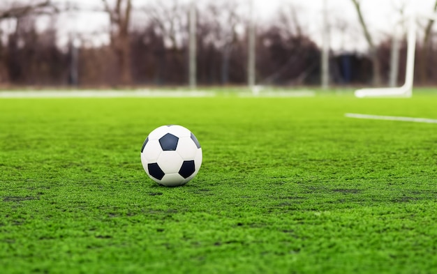 Foto una pelota de fútbol negra y blanca está en el medio del campo de césped delante de la portería