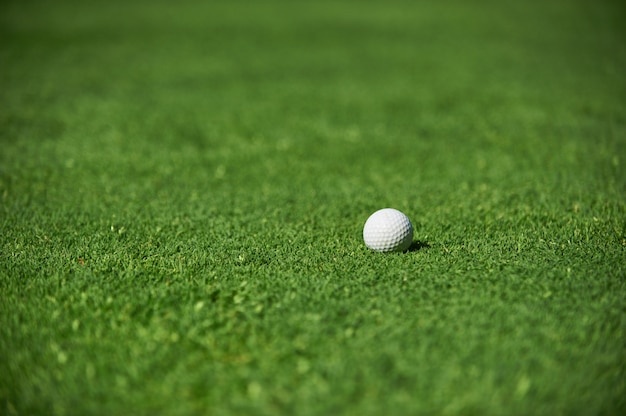 Pelota de golf blanca en campo verde de cerca