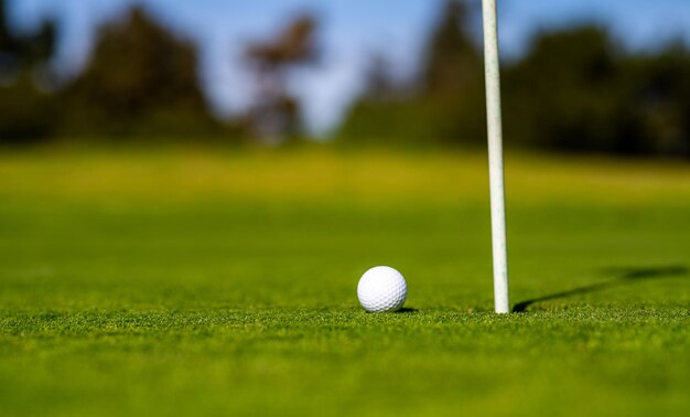 Pelota de golf en el borde de la copa sobre fondo de hierba