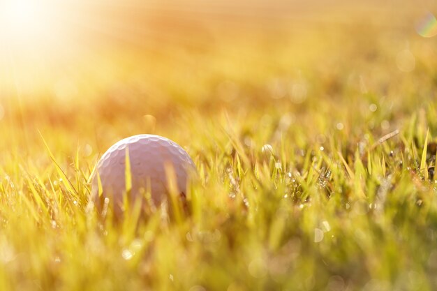 Pelota de golf en el campo verde.