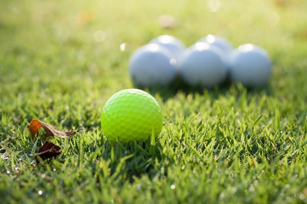 Pelota de golf en el campo verde.